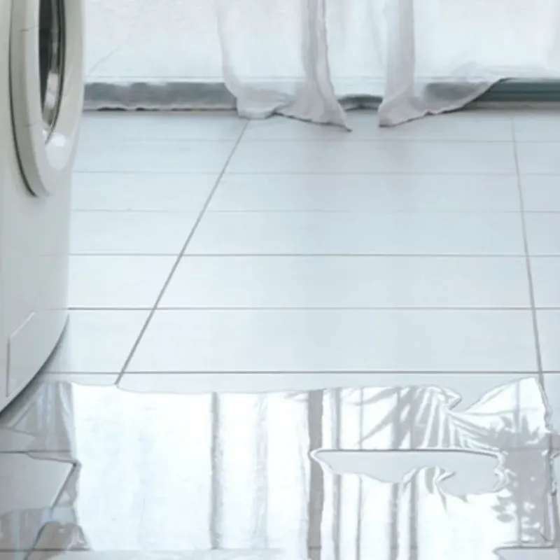 Appliance Leak Cleanup in Manchester, MI