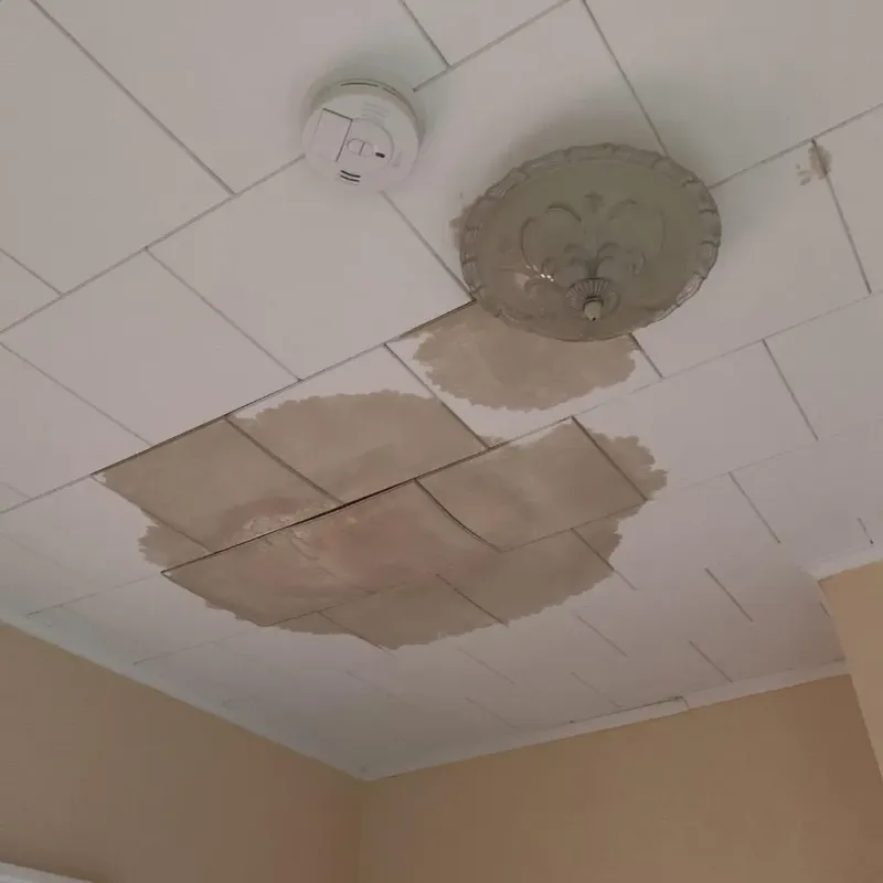Ceiling Water Damage Repair in Manchester, MI