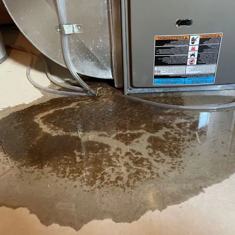 Pipe Burst and Leak Restoration in Manchester, MI